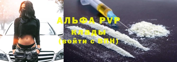 крисы Алексин