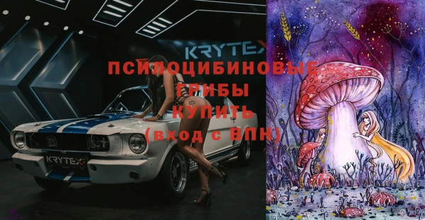 крисы Алексин