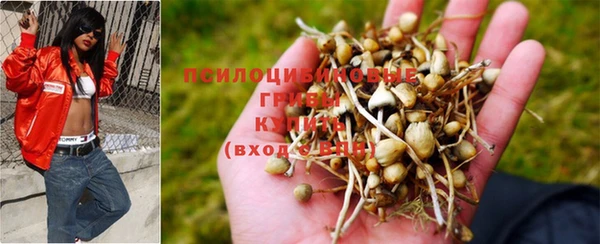 тгк Алзамай