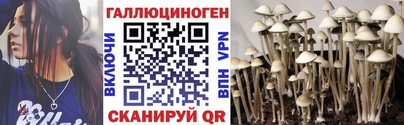что такое   Кизилюрт  Галлюциногенные грибы мицелий 